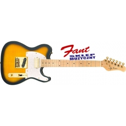 JAY TURSER JT LT CUSTOMDLX (ANS) gitara elektryczna