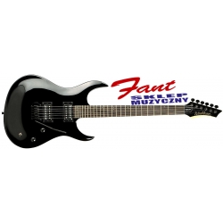 WASHBURN XM 12 V (B) gitara elektryczna