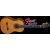 OSCAR SCHMIDT by Washburn OC 11 Gitara klasyczna